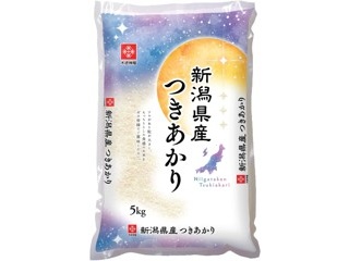 さがびより　2kg×4袋　計8kg ふるさと納税 16-21 佐賀県産 さがびより 2kg×4 合計8kg 佐賀県