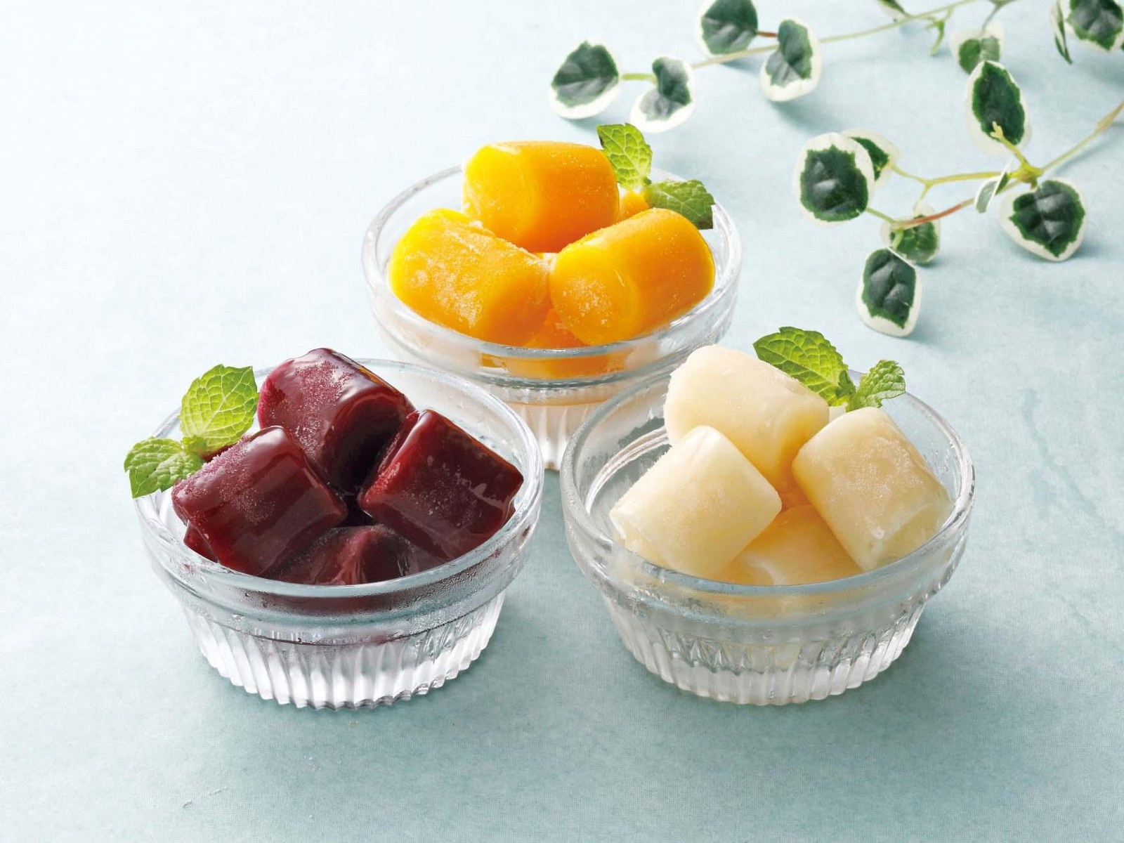 ヒカリ乳業 ジェラートアイスセット 1袋（9ml×18粒入）| コープ