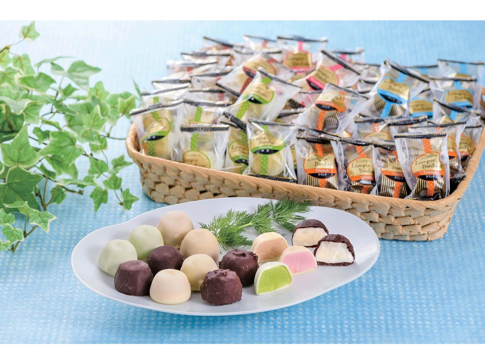 ヒカリ乳業 ランペボヌール チョコアイスボール 1袋（12ml×30粒