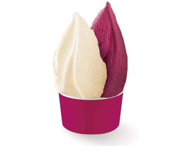 ハーゲンダッツ CREAMY GELATO贅沢ぶどう 110ml | コープ