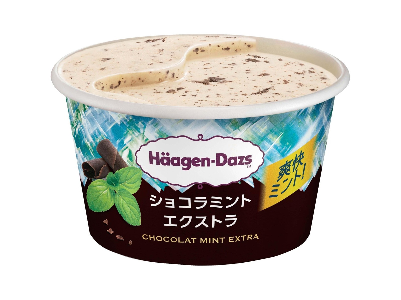 ハーゲンダッツ ミニカップ ショコラミント エクストラ 110ml