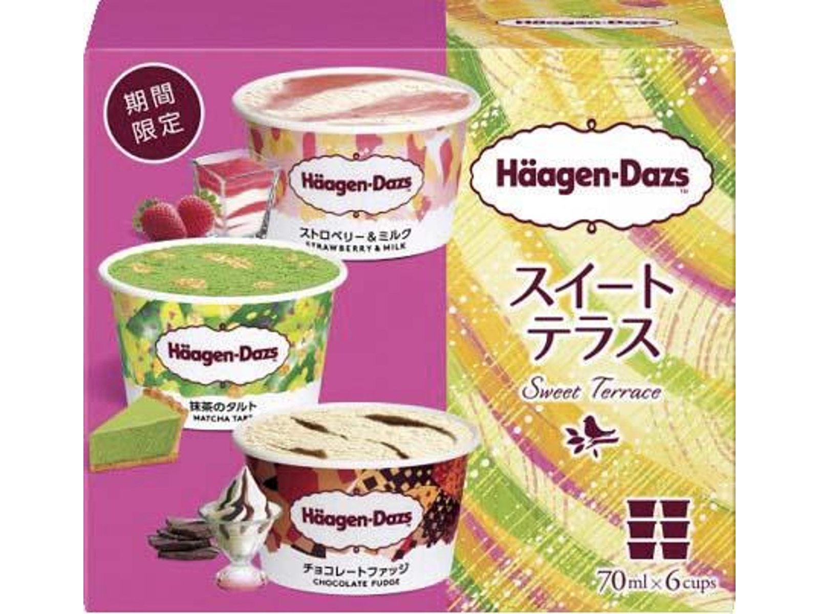 ハーゲンダッツ アソートボックス スイート テラス 1箱（70ml×6