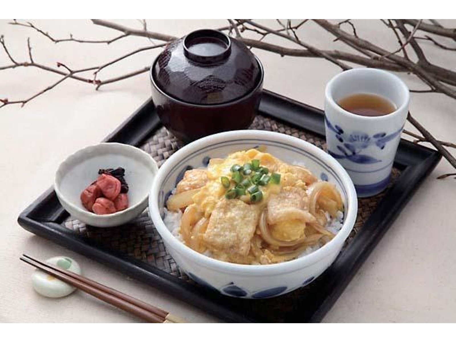 程野商店 松山あげきざみ 45g | コープこうべネット
