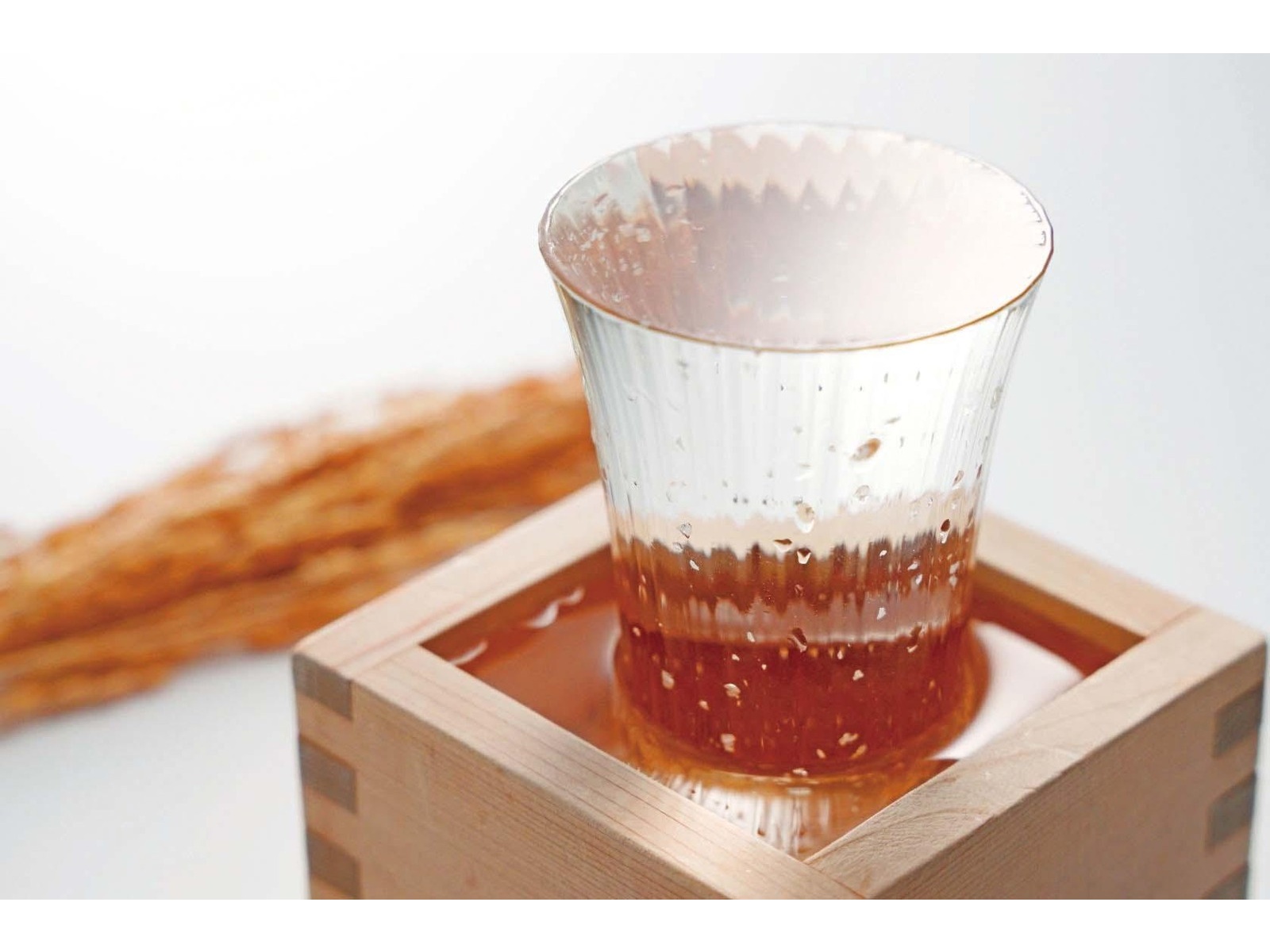 神戸酒心館 福寿 純米新酒 しぼりたて 720ml（瓶）| コープ