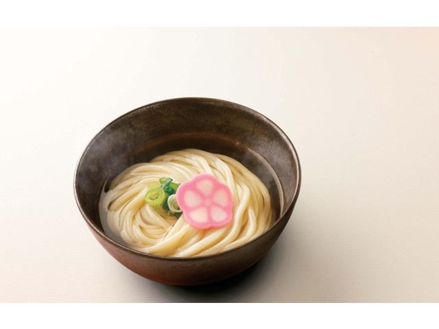 四国日清食品 はなまるうどん監修 かけうどん 2食入(432g) | コープ