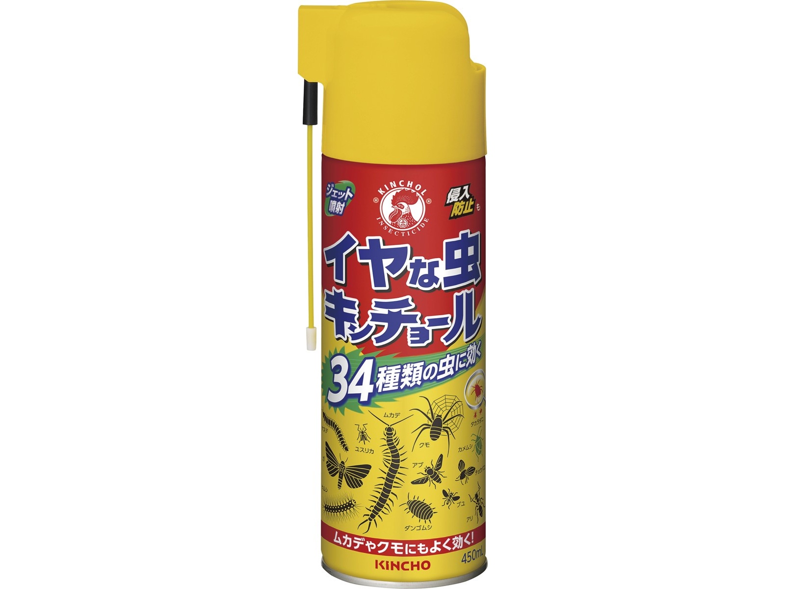 ふわチョコ◆絶対王者の糖度◆160㎝＝超・ドワーフナムワ・キング◆耐寒強 ふわチョコ◇絶対王者の糖度◇160㎝＝超・ドワーフナムワ