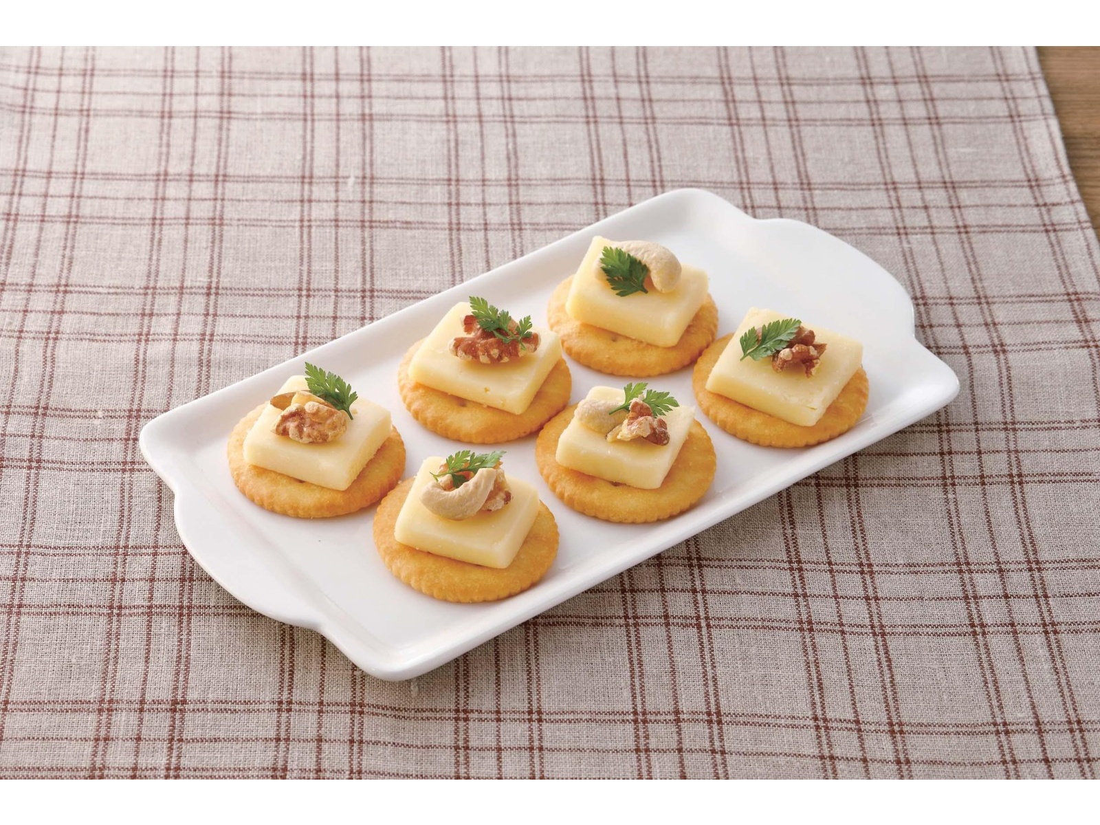 【1ペア】チモールフタオチョウ（チモール産） 1ペア】チモールフタオチョウ（チモール産） 1ペア】チモール