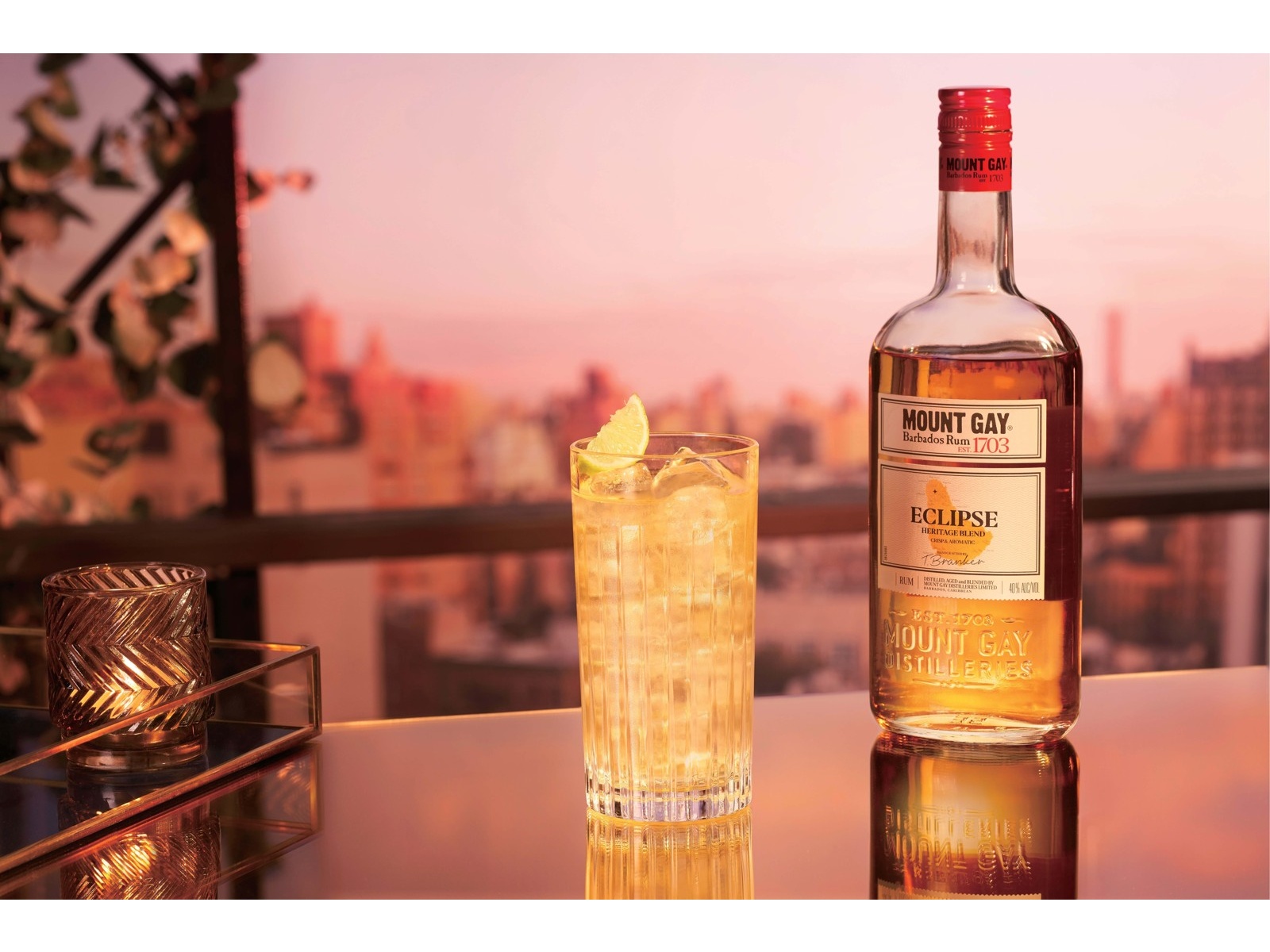 REMY COINTREAU JAPAN マウントゲイ エクリプス 700ml（瓶） | コープ
